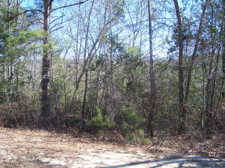 333 Live Oak Road Aiken, SC 29803 - Photo 1 of 1