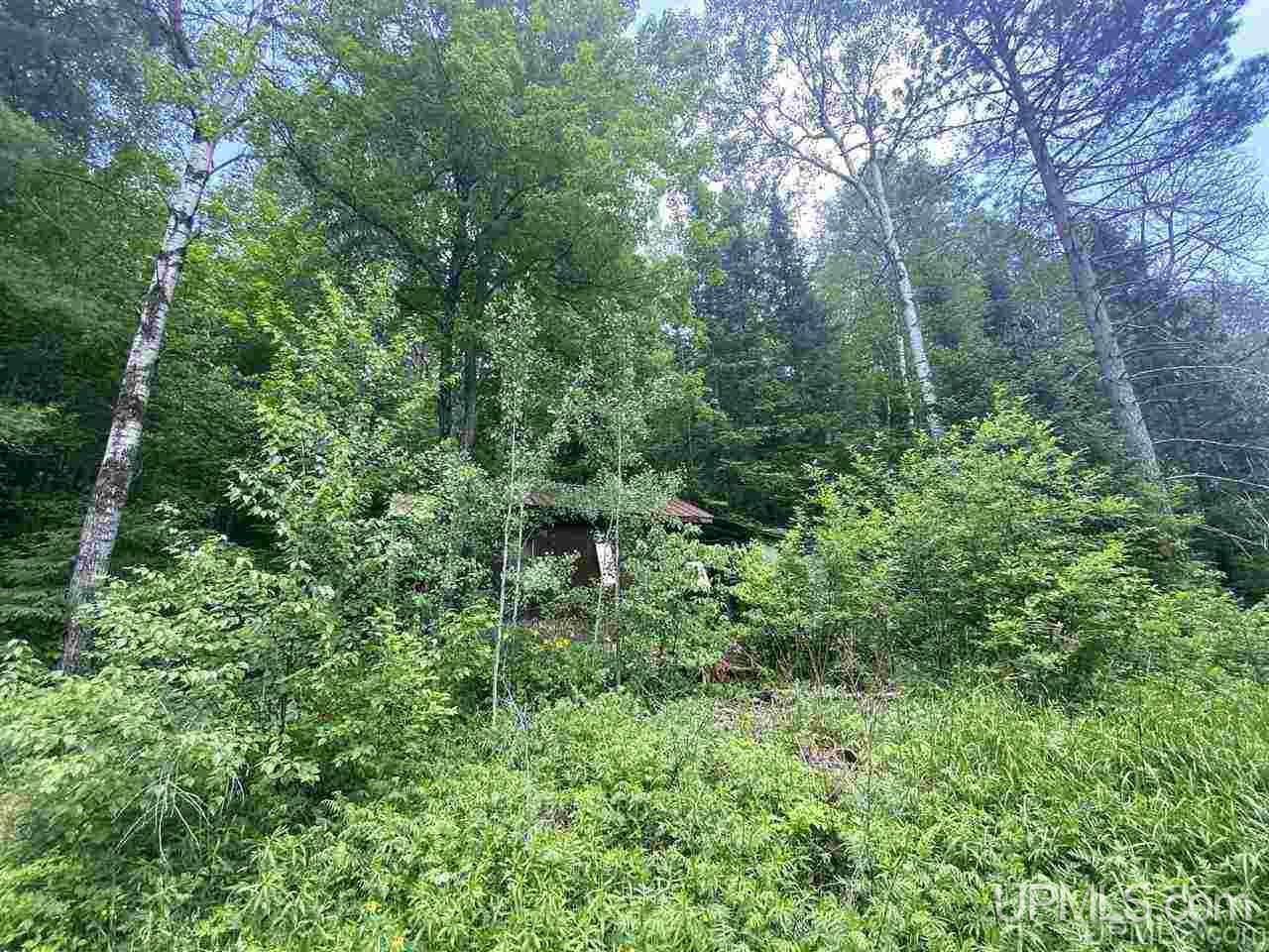 16 Rd Iron River Iron River, MI 49935 - Photo 13 of 18