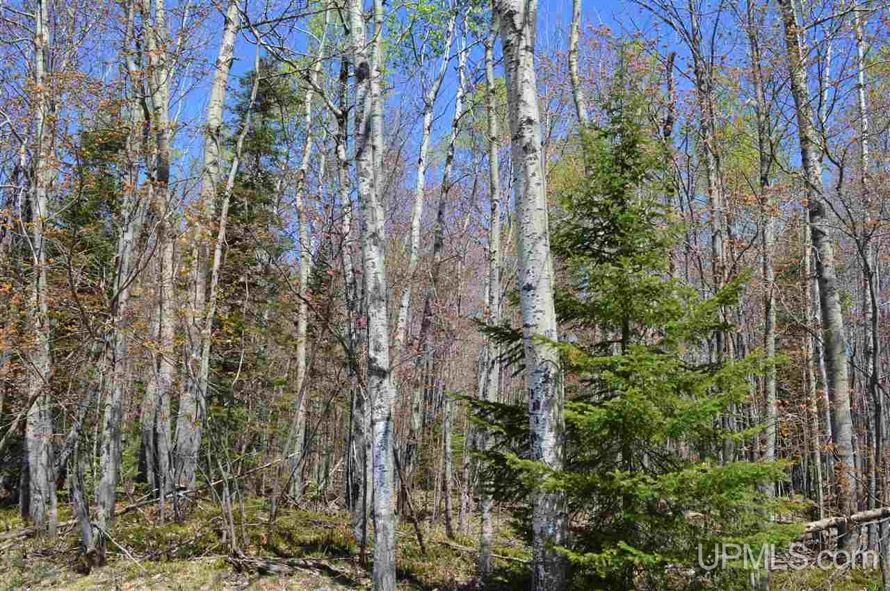 Tbd Lehto Road Lanse, MI 49946 - Photo 10 of 20 Gallery Image 10