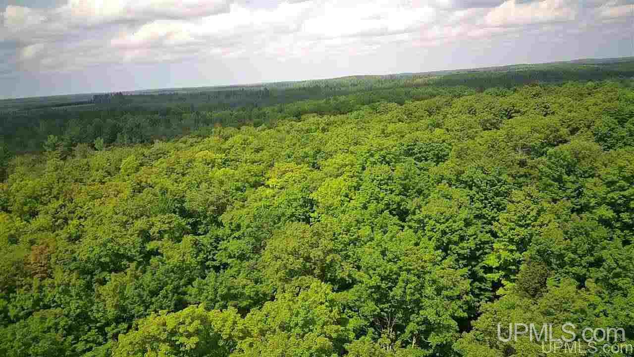 Tbd Sand Road, Unit 2 Powers, MI 49874 - Photo 2 of 38