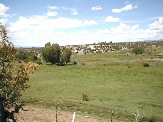 28111 BB Road Nucla, CO 81424 - Photo 1 of 6 Primary Photo