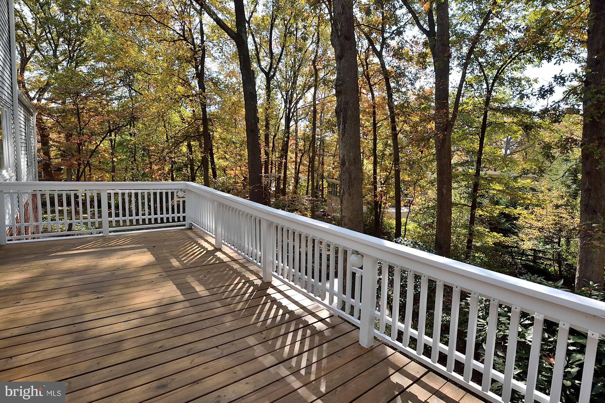1135 Cameron Road Alexandria, VA 22308 - Photo 23 of 30 Sun Deck