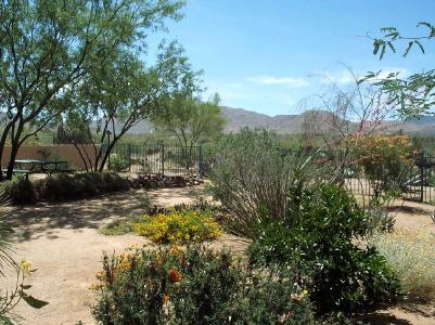 131 West Forrest Feezor Street Vail, AZ 85641 - Photo 5 of 12