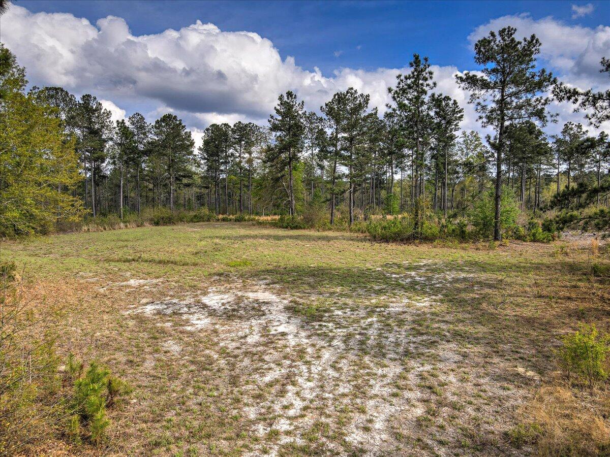 0 Deer Run Road, Unit E Williston, SC 29853 - Photo 1 of 15