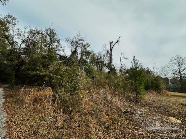8 Blackmon Street Century, FL 32535 - Photo 2 of 5 a view of a bunch of trees in a yard
