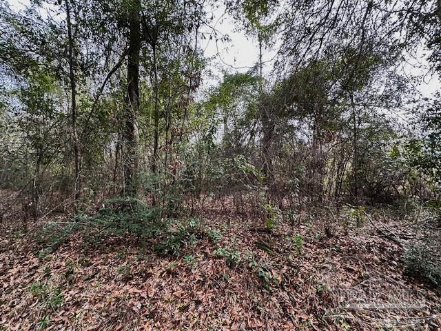 8 Blackmon Street Century, FL 32535 - Photo 4 of 5 a view of a large yard with lots of bushes