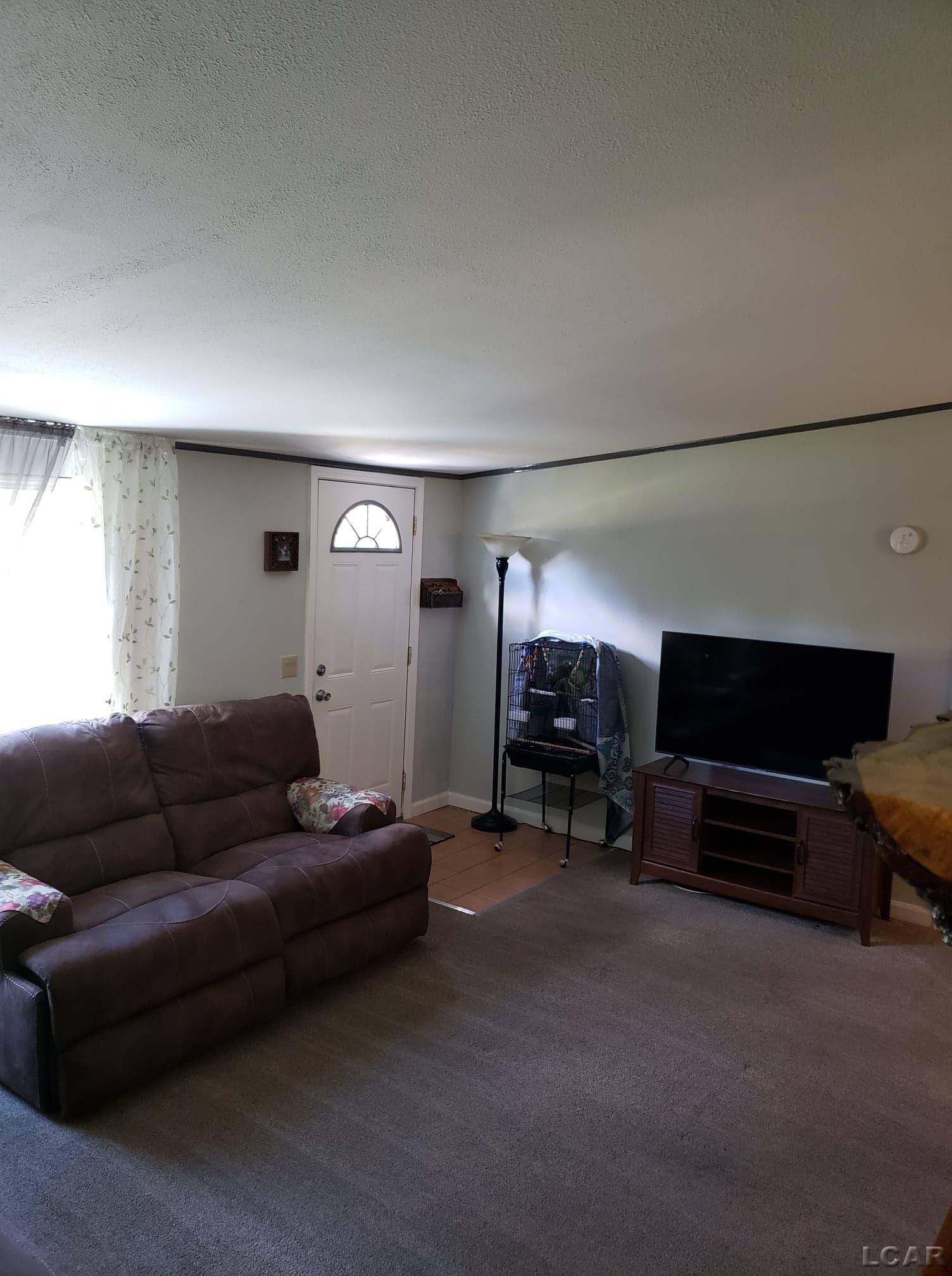 7223 Brills Lake Road Jackson, MI 49201 - Photo 4 of 24