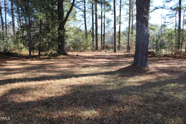 a view of a yard with large trees
