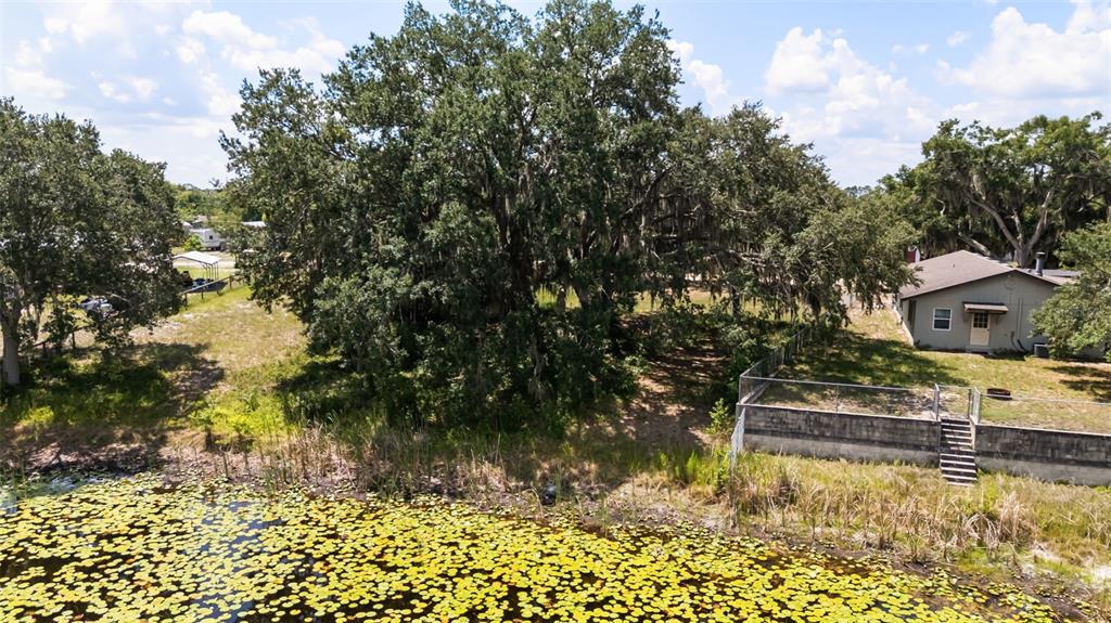 Linda Drive Leesburg, FL 34788 - Photo 16 of 22