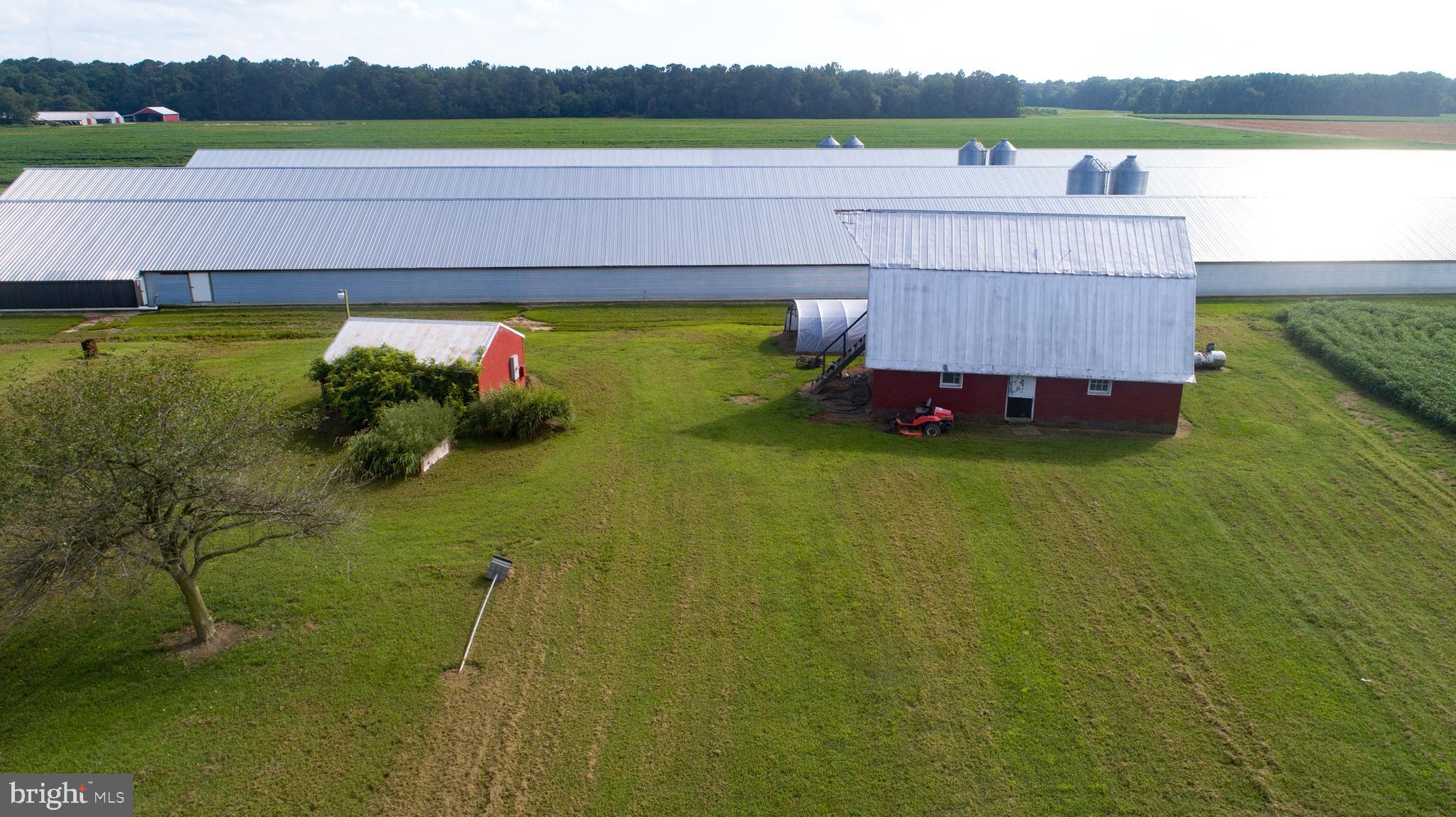4825 Skinners Run Road Hurlock, MD 21643 - Photo 9 of 18 Gallery Image 9