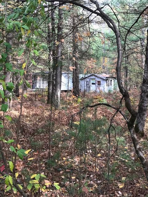 6166 North Pine River Road Luther, MI 49656 - Photo 1 of 9 IMG_2098