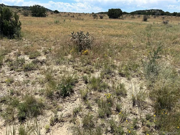 a view of a lake with houses in the background