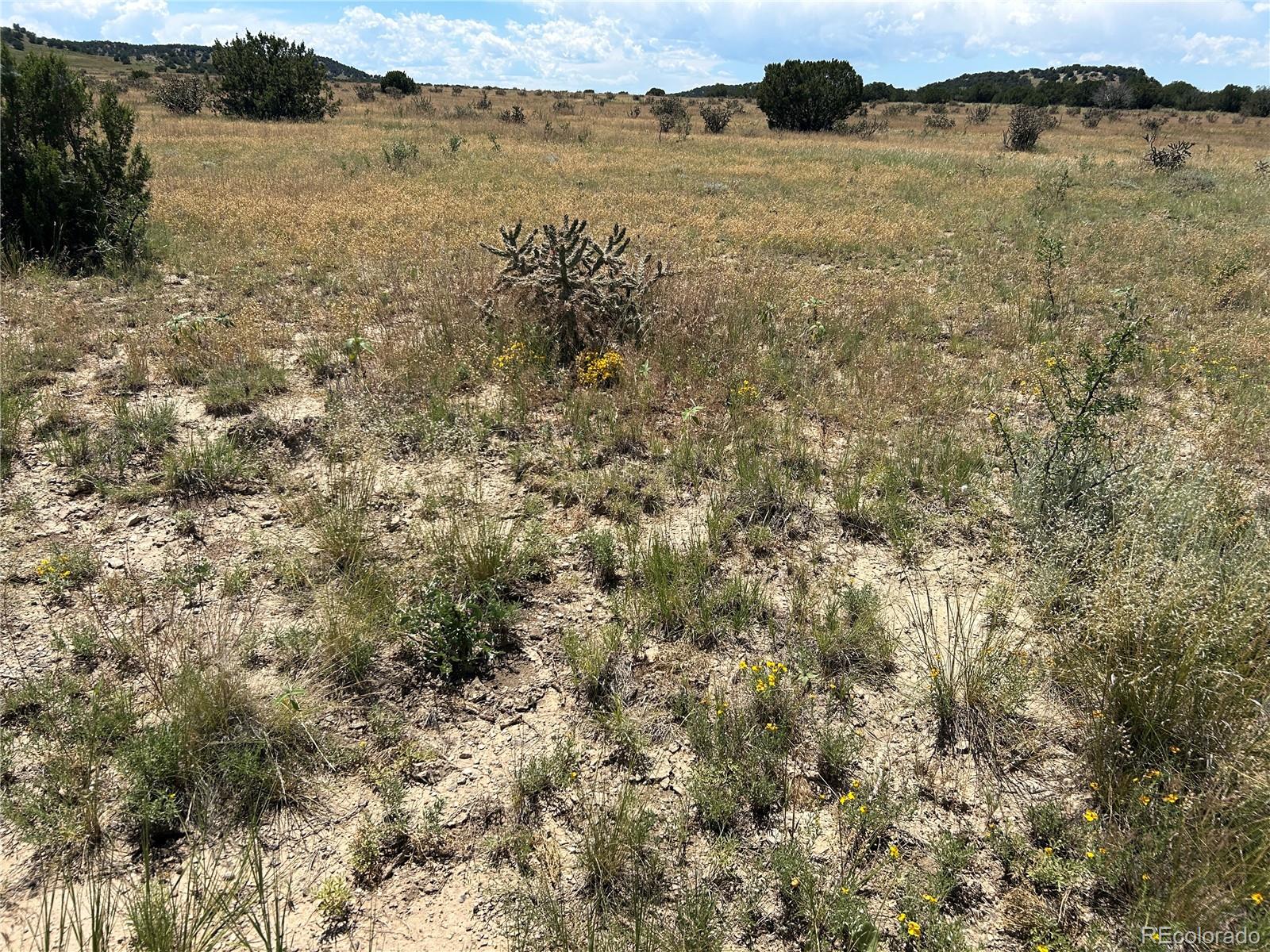 Lot 17 Longhorn Ranch Model, CO 81059 - Photo 5 of 13 a view of a lake with houses in the background