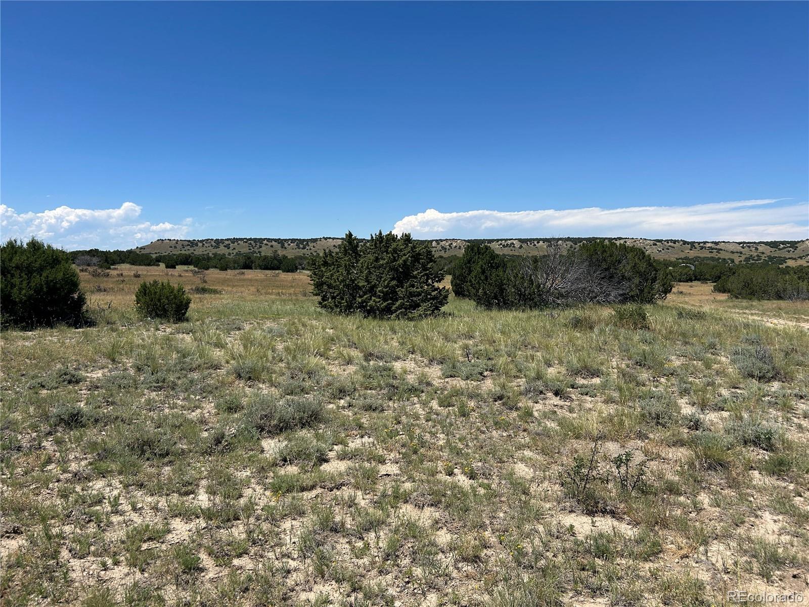Lot 17 Longhorn Ranch Model, CO 81059 - Photo 8 of 13 a view of a lake with a mountain in the background