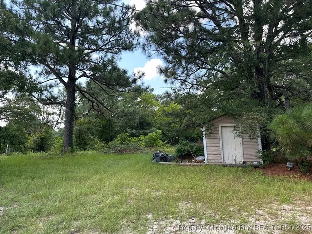a view of a backyard with potted plants and large trees
