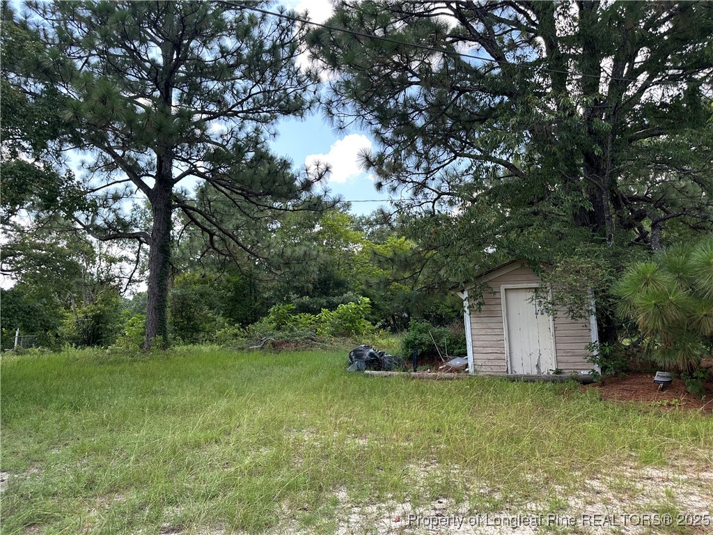 5758 Camden Road Fayetteville, NC 28306 - Photo 4 of 5 a view of a backyard with potted plants and large trees
