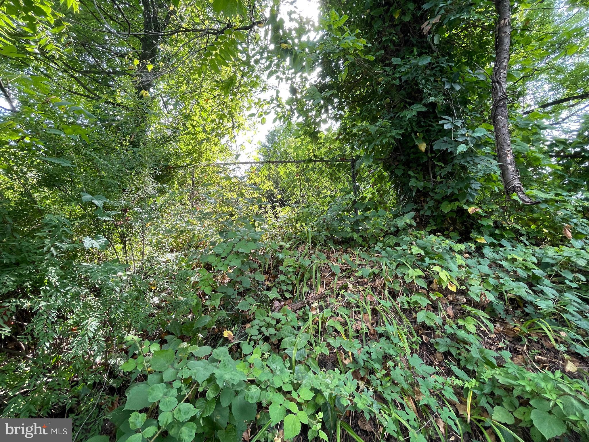 9138 Eton Road Silver Spring, MD 20901 - Photo 5 of 7