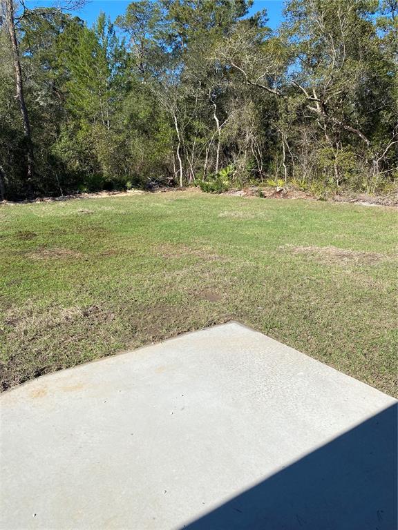 16874 Southwest 43rd Court Road Ocala, FL 34473 - Photo 16 of 16