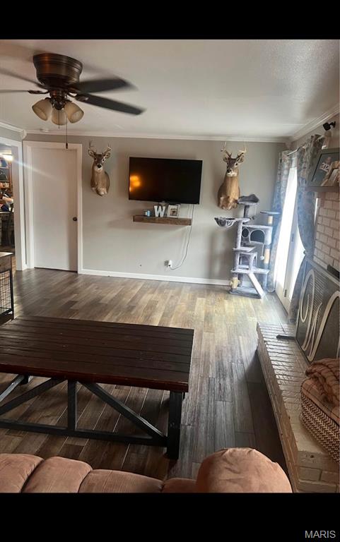 33445 Maple Street Advance, MO 63730 - Photo 8 of 20