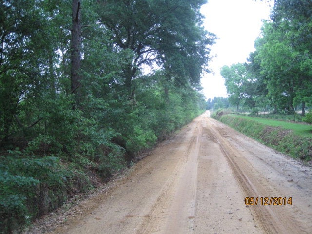 0 Old Thomasville Road Dixie, GA 31629 - Photo 1 of 1 Main View