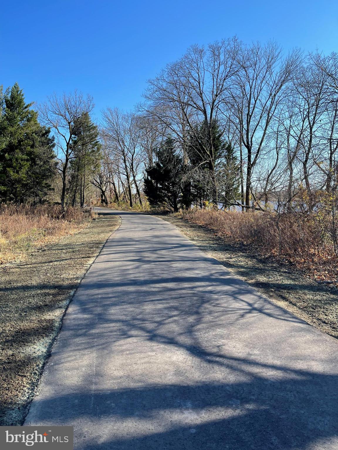 46 Walton Way Delanco, NJ 08075 - Photo 3 of 57