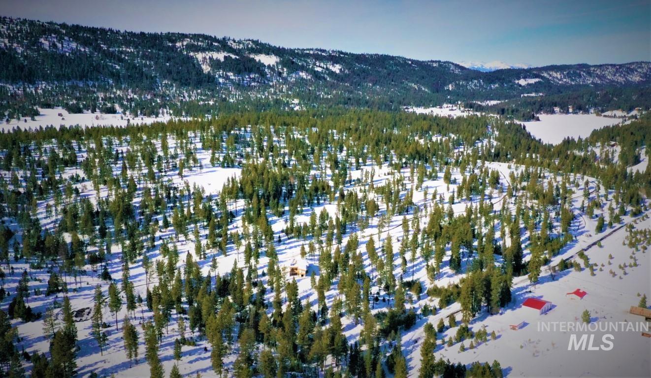 Lot 3 Bella View Drive McCall, ID 83638 - Photo 25 of 46
