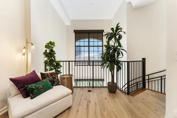 a living room with furniture and a potted plant