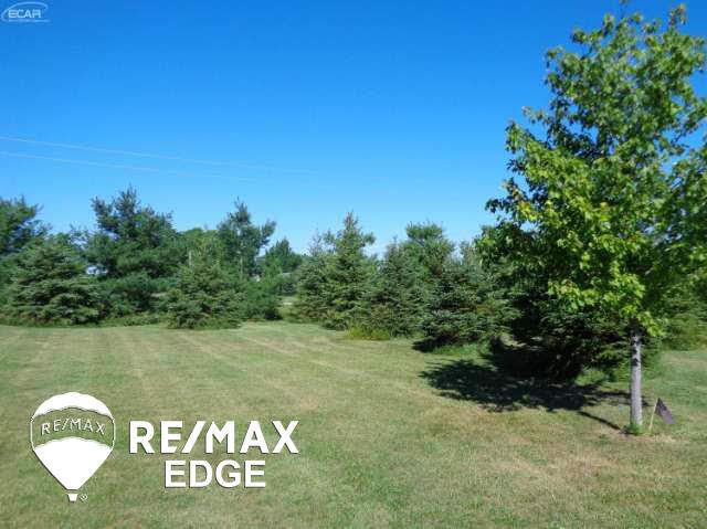 5651 Birch Run Road Millington, MI 48746 - Photo 45 of 47 21195046-44.JPG