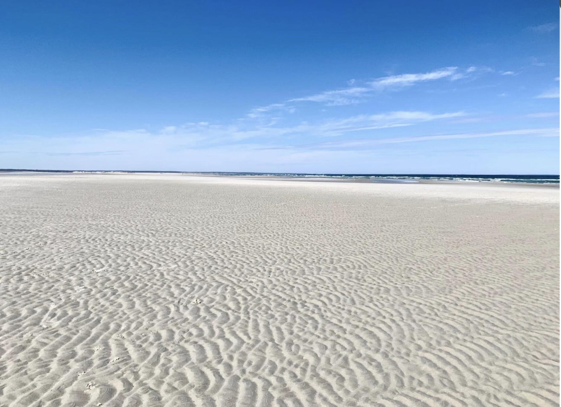 74 Robbins Circle Dennis, MA 02638 - Photo 36 of 44 74 ROBBINS BEACH LOW TIDE