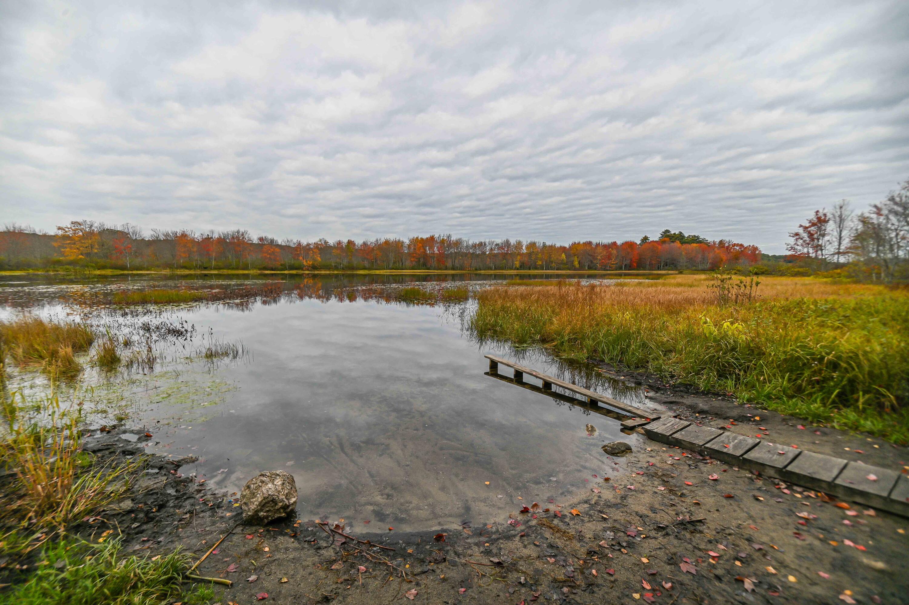 844 Duck Pond Road Westbrook, ME 04092 - Photo 44 of 49 DSC_2959