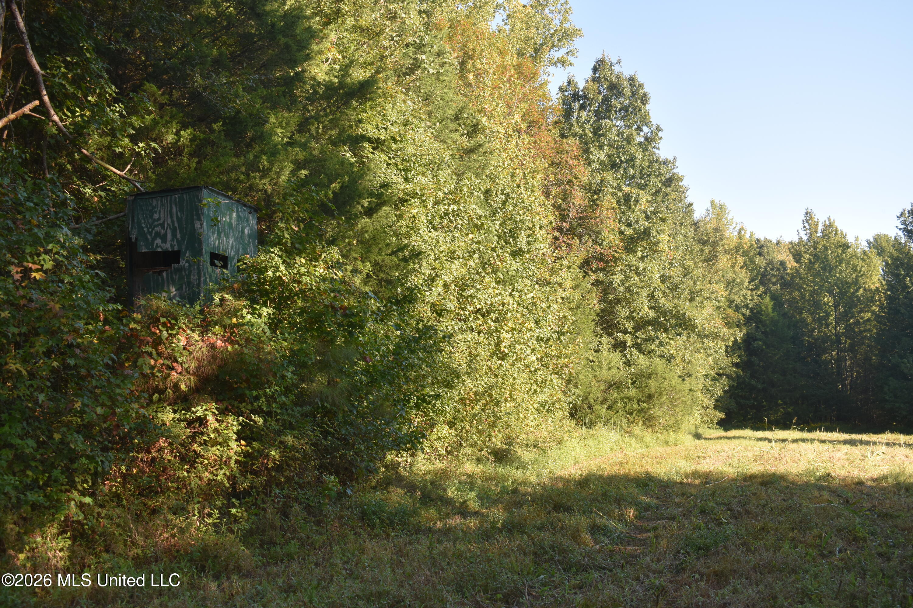 390 Old Panola Road Como, MS 38619 - Photo 41 of 71 DSC_0143