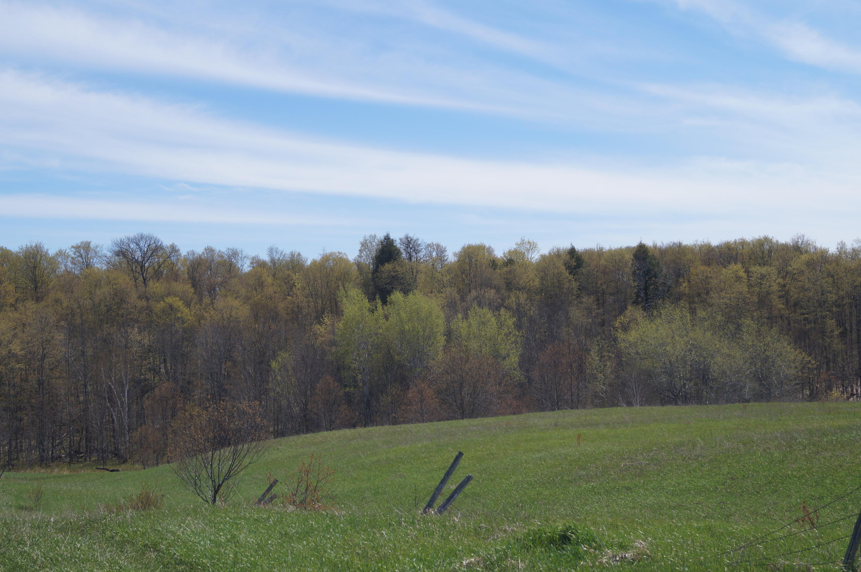 656 Pyjar Road Levering, MI 49755 - Photo 3 of 21 Gallery Image 3