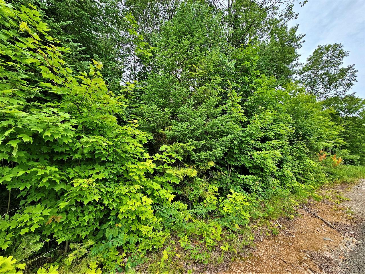 Lot 2-off Lot 2-off Gerry Road Hurley, WI 54534 - Photo 10 of 12 Gallery Image 10