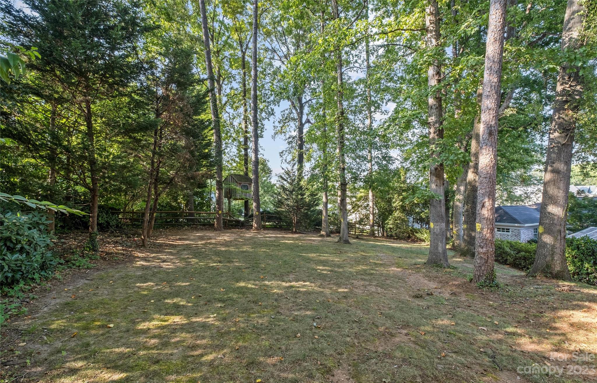 1550 Coventry Road Charlotte, NC 28211 - Photo 31 of 31 a view of a forest with trees in the background