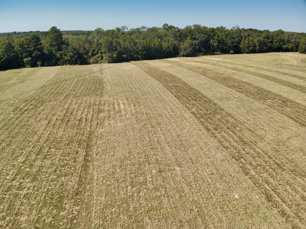 5.78-acres Cora Powell Road Samson, AL 36477 - Photo 10 of 10
