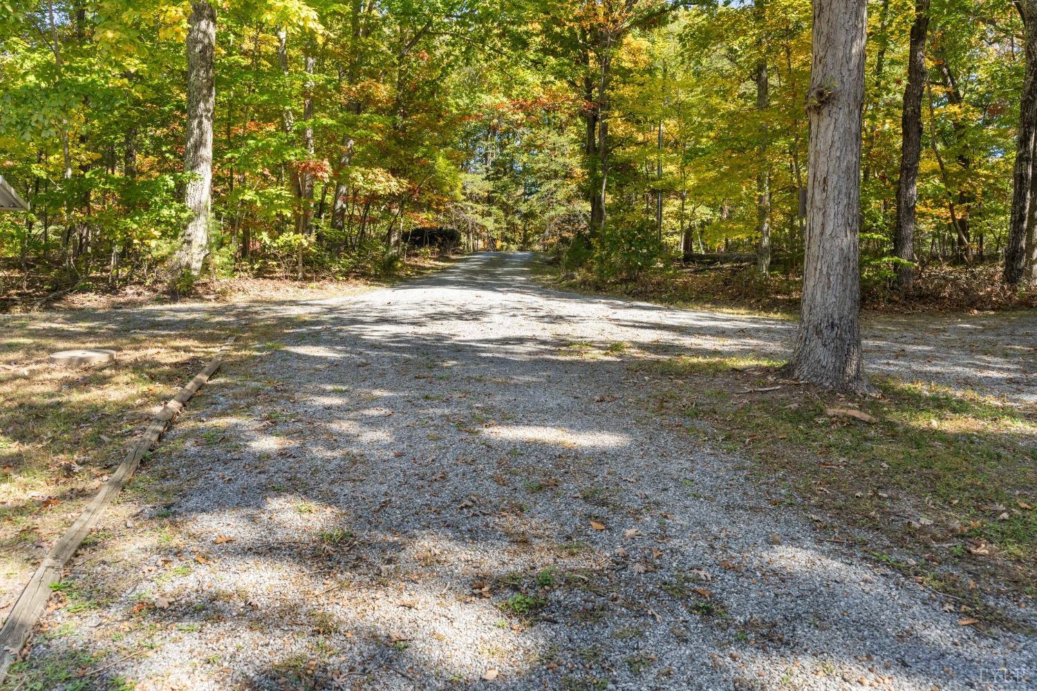 594 Viewmont Drive Evington, VA 24550 - Photo 38 of 43 a view of dirt yard with a tree