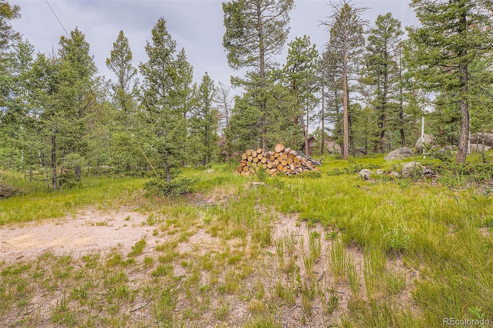 30520 Rand Road Conifer, CO 80433 - Photo 5 of 28