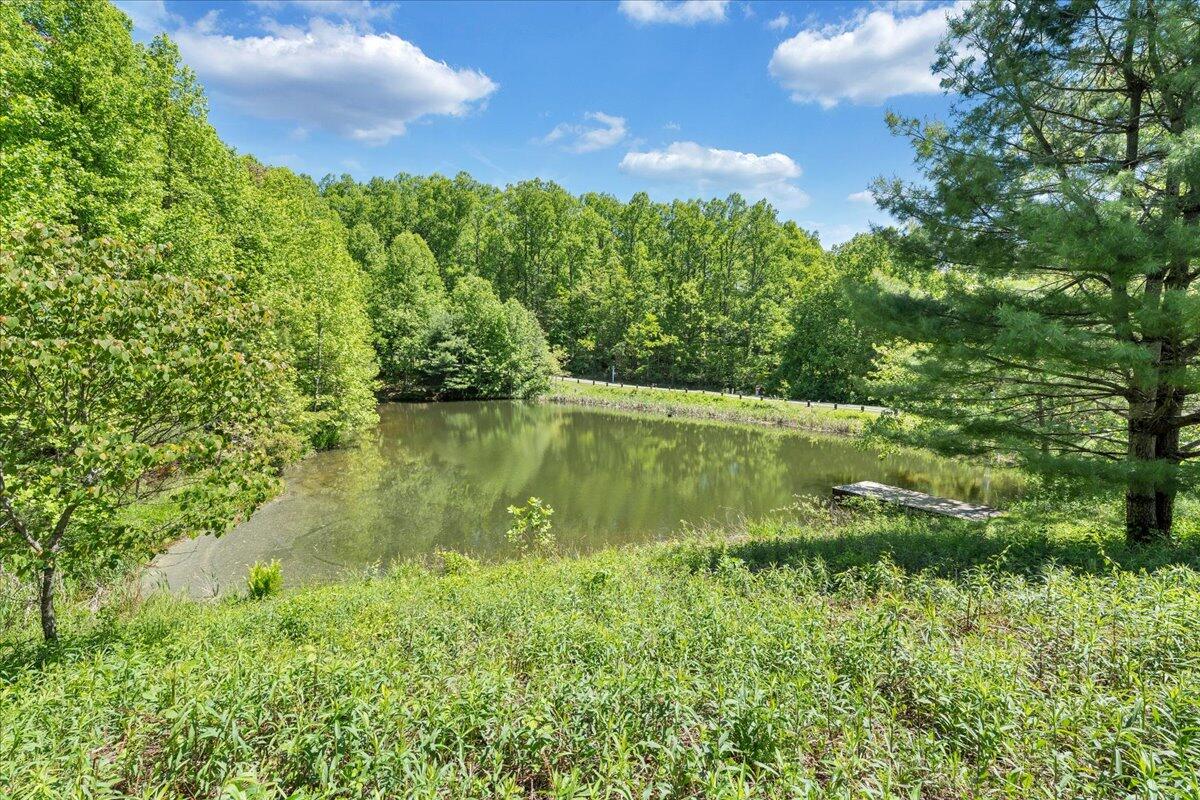 50 Lookout Ridge Lane Copper Hill, VA 24079 - Photo 53 of 78 053-MIB05359