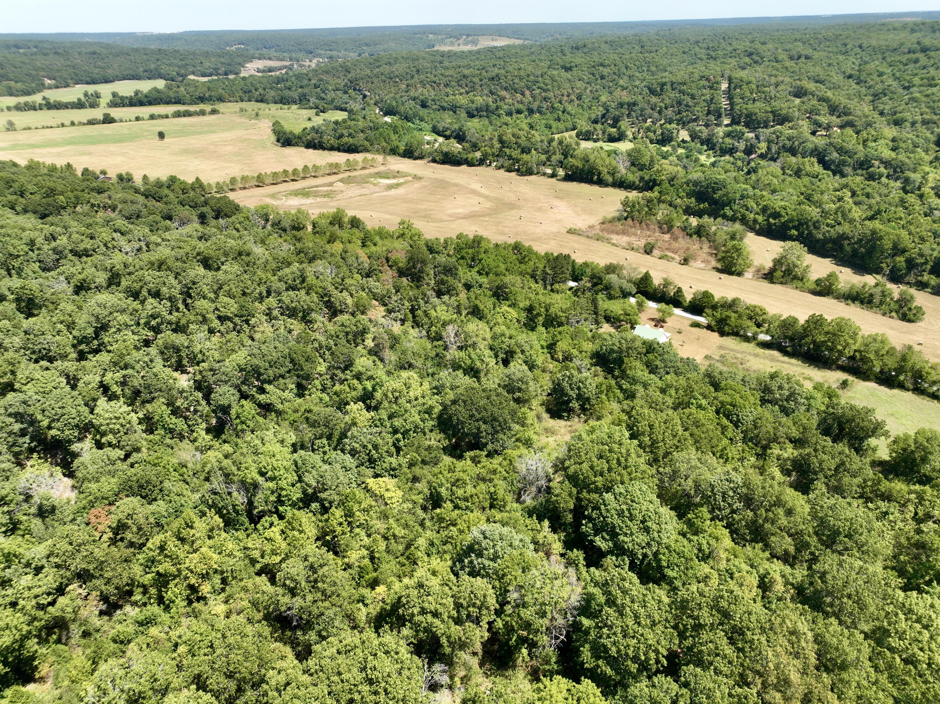 2059/2099 Allison Road Anderson, MO 64831 - Photo 38 of 40 24 (1)