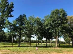 $45,000 | 798 Lot 21) Sunrise Drive, Deville, LA 71328