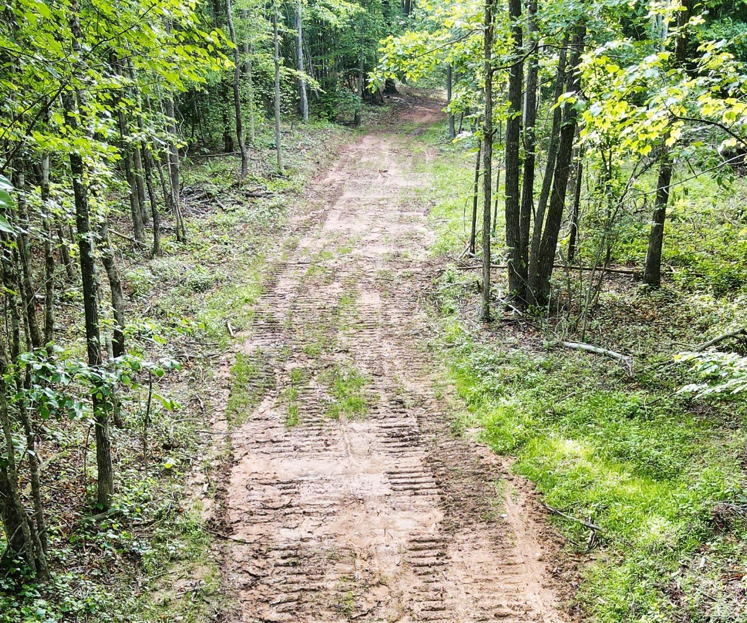 1400 White Fall Road Gretna, VA 24557 - Photo 22 of 27 a backyard of a house with lots of green space