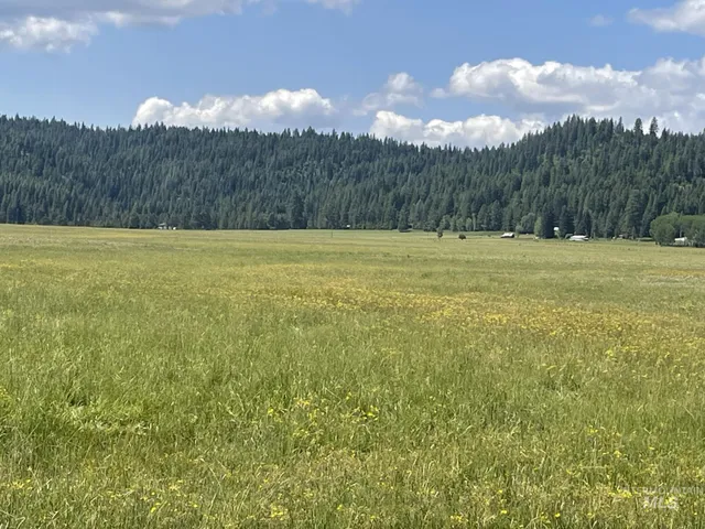 $649,900 | 163.21-ac Gray Lane, Cascade, ID 83611