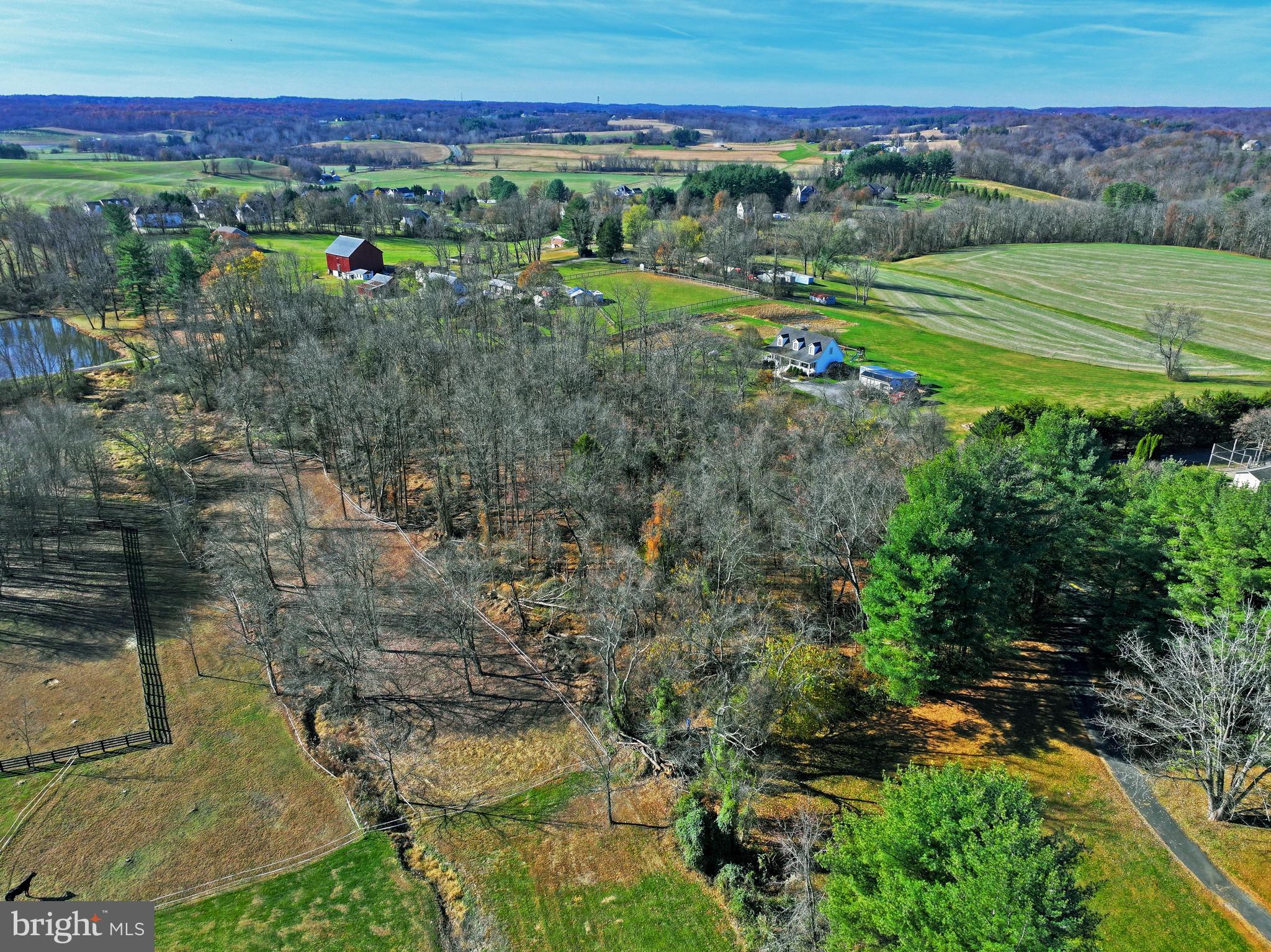 103 Clermont Mill Road Pylesville, MD 21132 - Photo 6 of 10 a view of a lush green forest with lots of trees