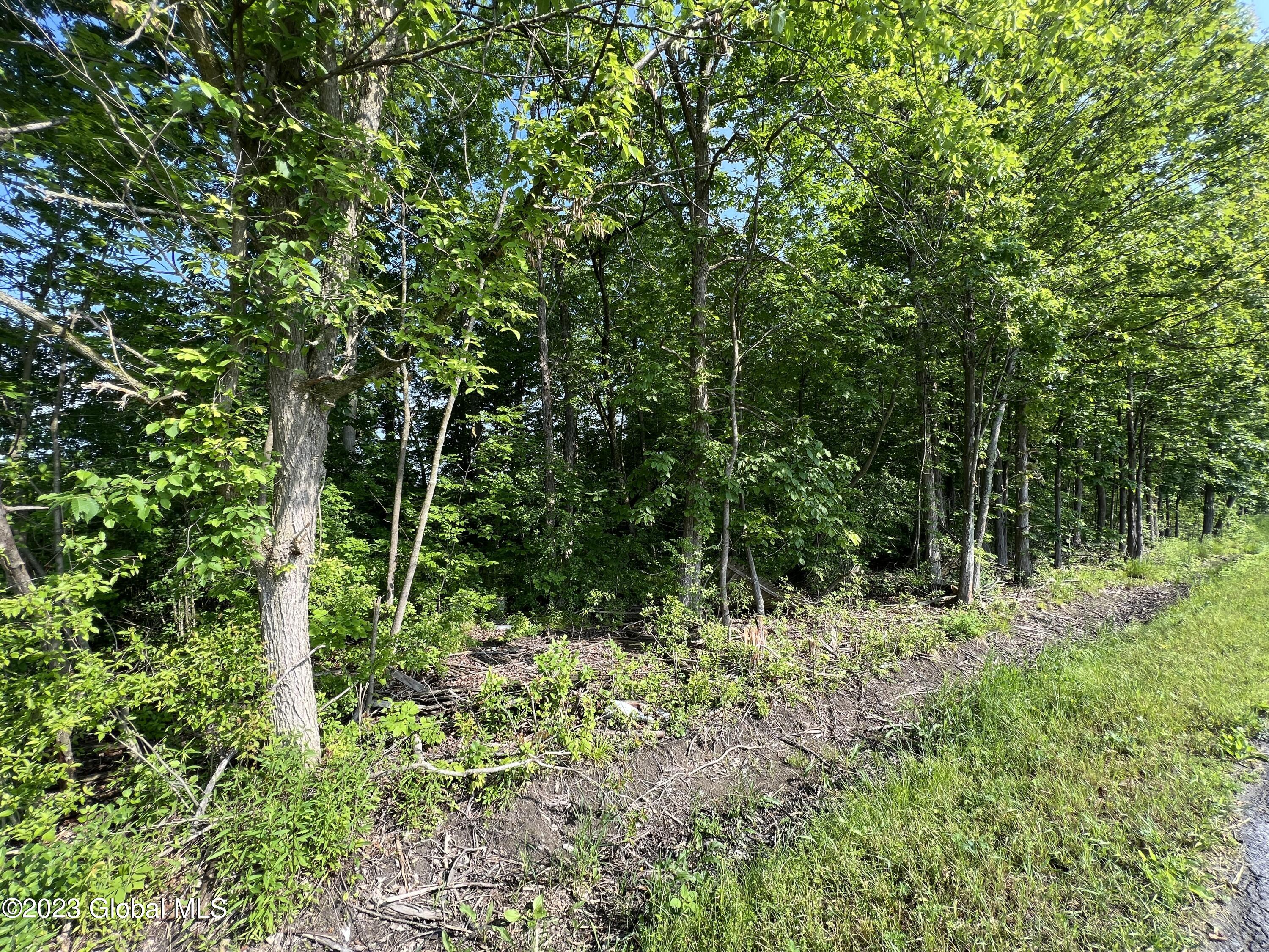 L5 Swamp Road Fort Edward, NY 12828 - Photo 11 of 17 Photo Jun 11 2023, 9 07 17 AM