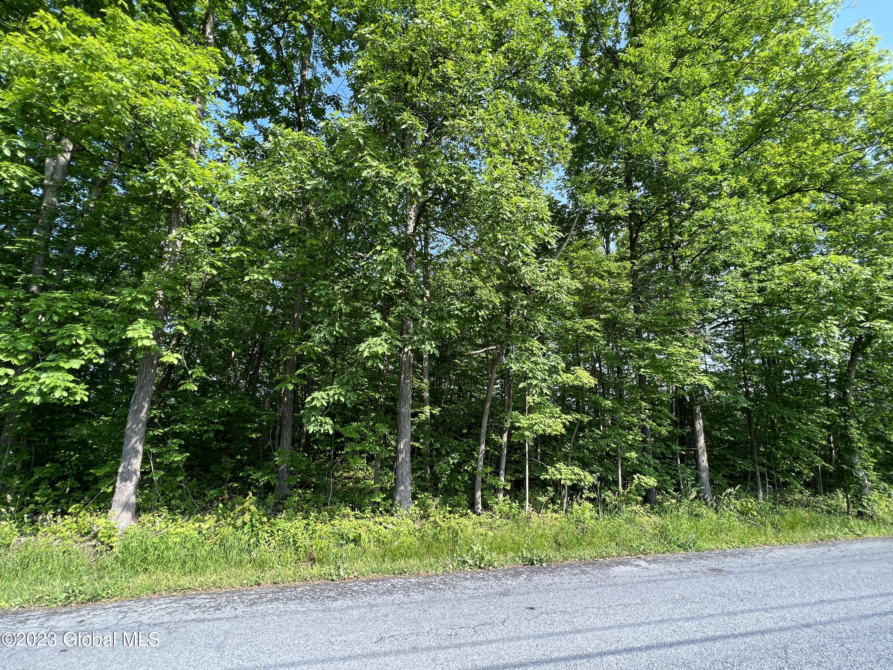 L5 Swamp Road Fort Edward, NY 12828 - Photo 14 of 17 Photo Jun 11 2023, 9 04 42 AM