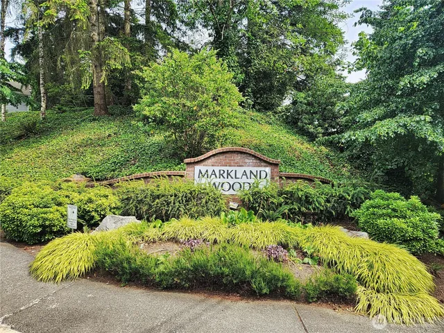 a view of a garden with plants