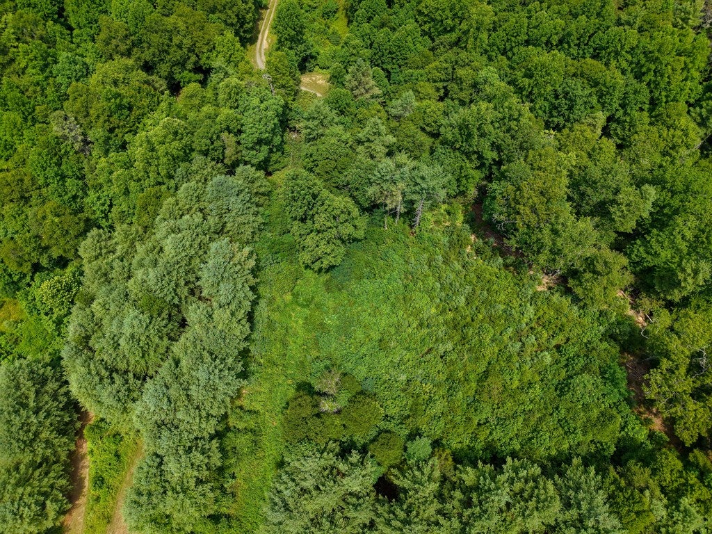 Tbd Tbd Little Vine Road Hillsville, VA 24343 - Photo 41 of 43 Gallery Image 41