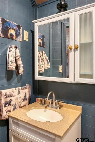 a bathroom with a sink and a mirror
