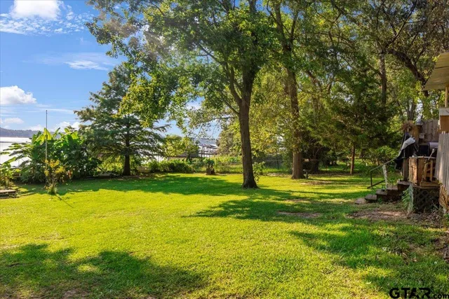 a view of a trees in front of a house