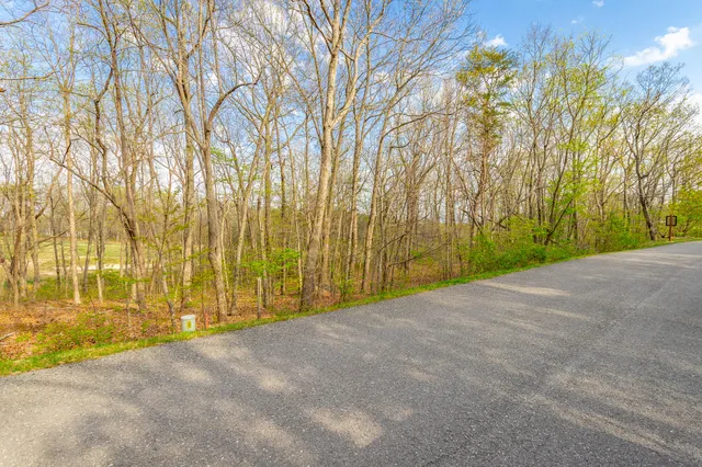 $50,000 | 0 Old Rocky Trail, Unit 6, Menlo, GA 30731